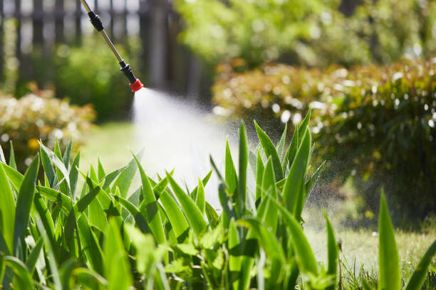 24/7 Emergency Cockroach Control experts in Erin, TN